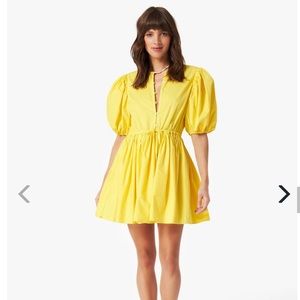 Xirena Aurie Dress in Sunflower